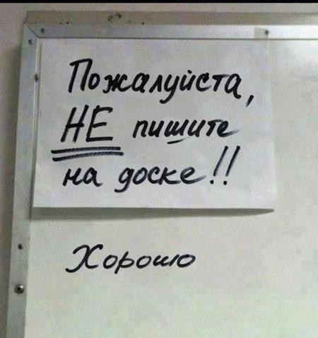 20 забавных фотографий людей, которые уверенно нарушают все возможные правила