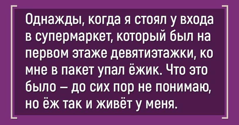 10 странных историй, произошедших в самый неожиданный момент