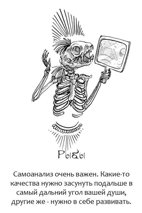 12 знаков  Зодиака в таком виде, в каком вы никогда их не видели раньше! 