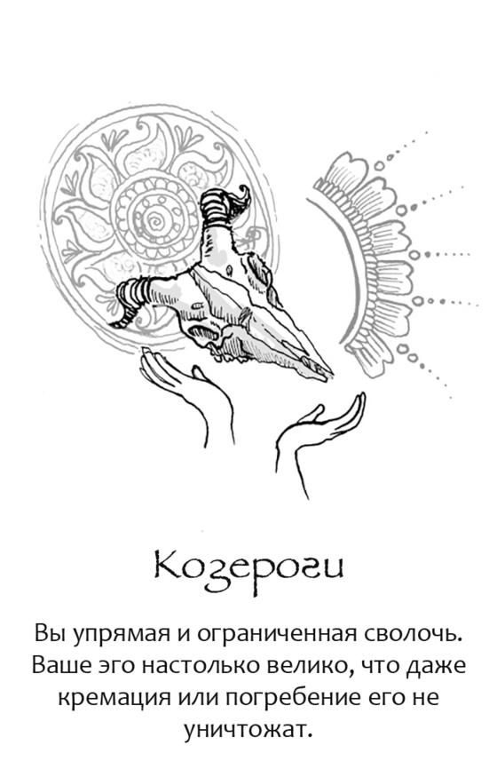 12 знаков  Зодиака в таком виде, в каком вы никогда их не видели раньше! 