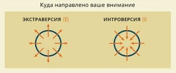 Ответьте честно на 4 вопроса — и мы дадим самую точную оценку вашей личности! 