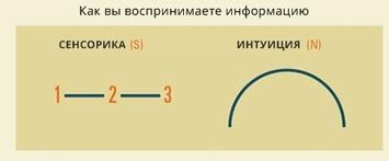 Ответьте честно на 4 вопроса — и мы дадим самую точную оценку вашей личности! 