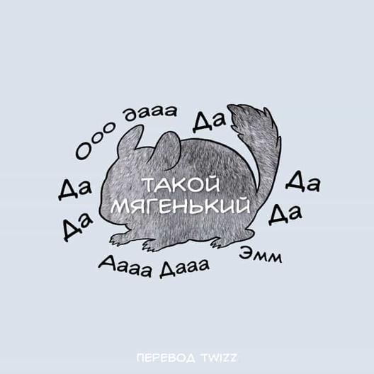 14 забавных иллюстраций, которые наглядно покажут вам, как нужно гладить животных