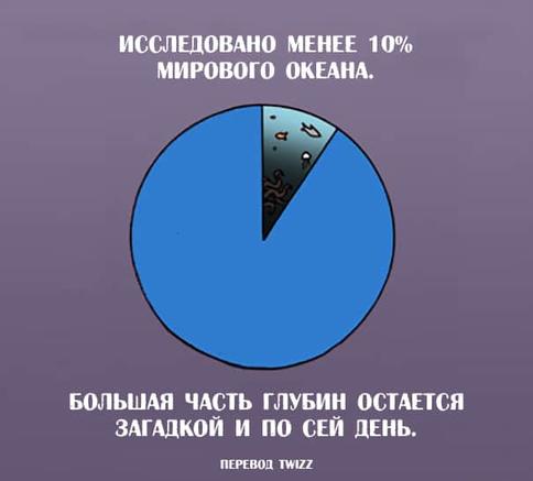 23 странных и неожиданных факта о животных, которых нет в школьных учебниках