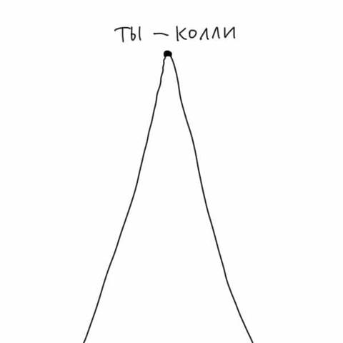 Как понять, какой ты породы, если ты собака