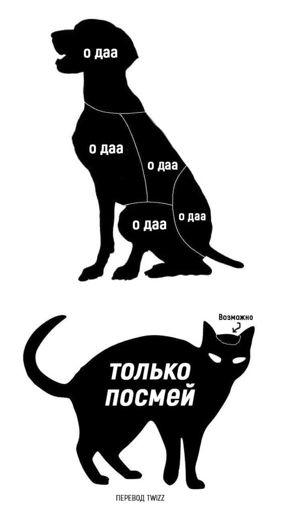 15 отпадных комиксов, которые наглядно покажут вам разницу между котами и собаками