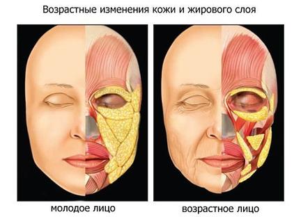 Как вы будете выглядеть в будущем? Типы старения лица