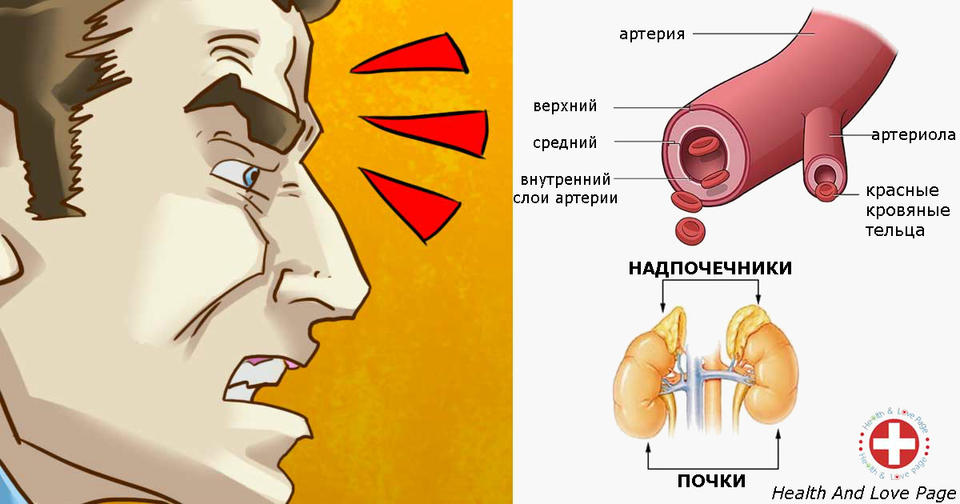 Вот что происходит с вашим телом, когда вы злитесь. Это хуже, чем наркотики! 