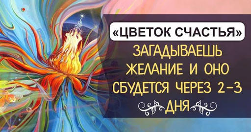 «Цветок счастья» загадываешь желание и оно сбудется через 2 3 дня