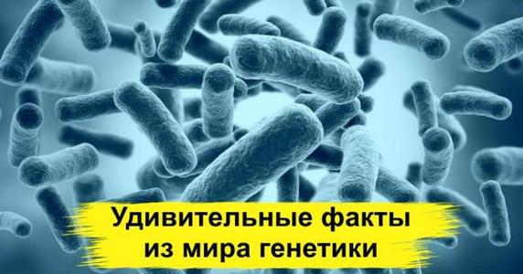 А вы думали что пошли в папу? Сильно ошибаетесь… Безумные факты из мира генетики!