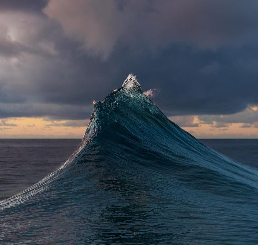 National Geographic назвал самые популярные фотографии 2017 года, которые выбрали пользователи Инстаграма