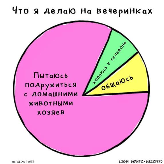 19 комиксов о тех забавных ситуациях, в которые попадал абсолютно каждый собачник