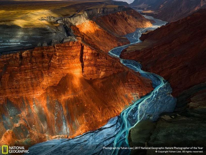 33 фотографии, которые журнал National Geographic назвал лучшими снимками дикой природы 2017