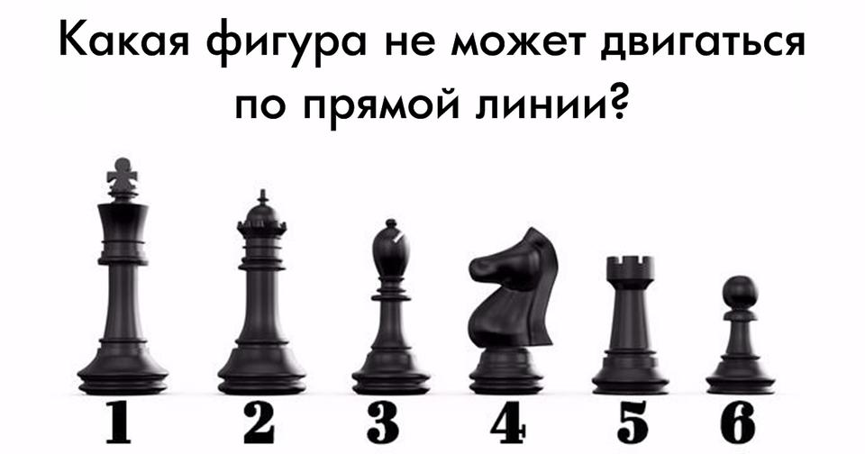 Если вы сможете пройти этот тест, то вы действительно разбираетесь во всем на свете!