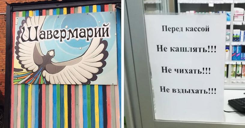 15 забавных табличек и надписей, которые невероятно ярко отражают нашу сумасбродную действительность