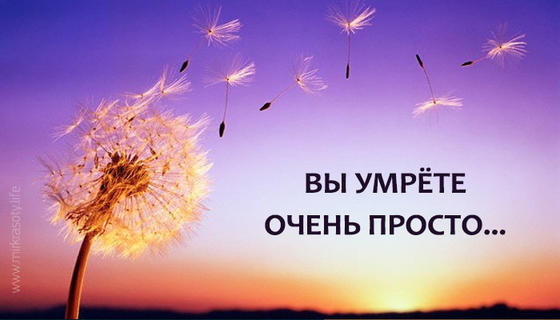 Вы умрёте очень просто