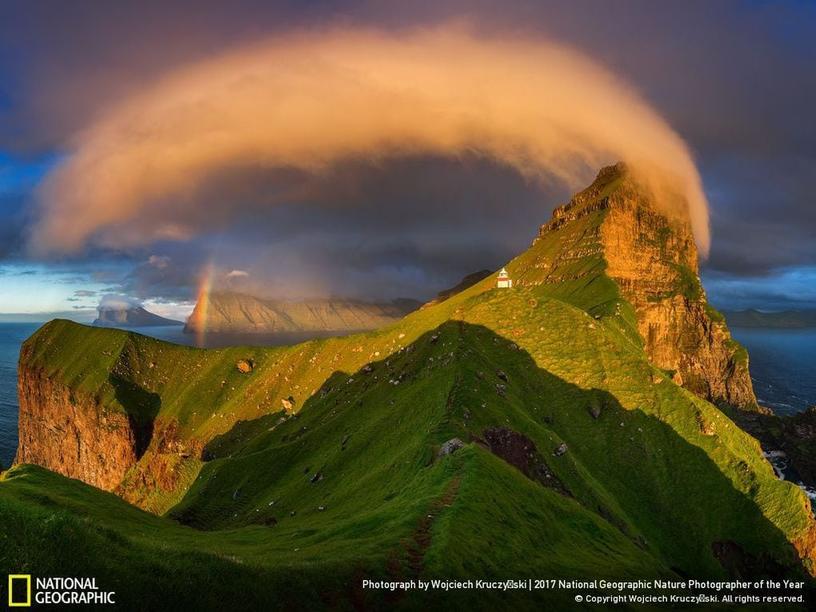 33 фотографии, которые журнал National Geographic назвал лучшими снимками дикой природы 2017