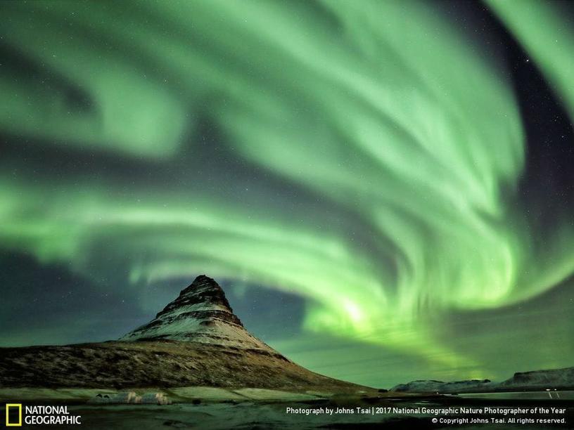 33 фотографии, которые журнал National Geographic назвал лучшими снимками дикой природы 2017