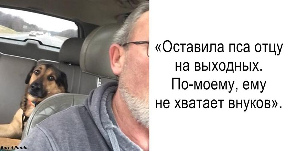 Я оставила собаку с отцом. А потом от них начали приходить СМС ки...