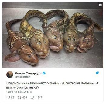 Мурманский моряк делится фотографиями морских существ, которых выловил его траулер, и они будут преследовать вас в кошмарах