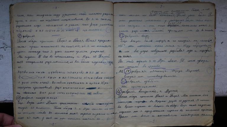 В 1919 году 13-летняя девочка вписала в свой дневник шифровку, и вот что за ней скрывалось