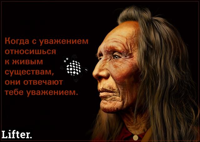 21 индейская пословица, которая перевернет ваше мировоззрение