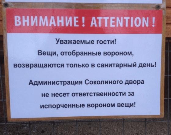 15 забавных табличек и надписей, которые невероятно ярко отражают нашу сумасбродную действительность