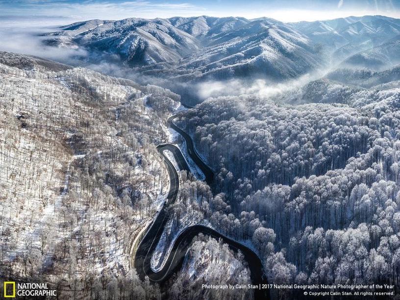 33 фотографии, которые журнал National Geographic назвал лучшими снимками дикой природы 2017