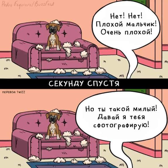 19 комиксов о тех забавных ситуациях, в которые попадал абсолютно каждый собачник