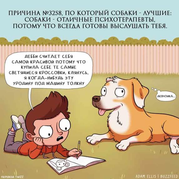 19 комиксов о тех забавных ситуациях, в которые попадал абсолютно каждый собачник