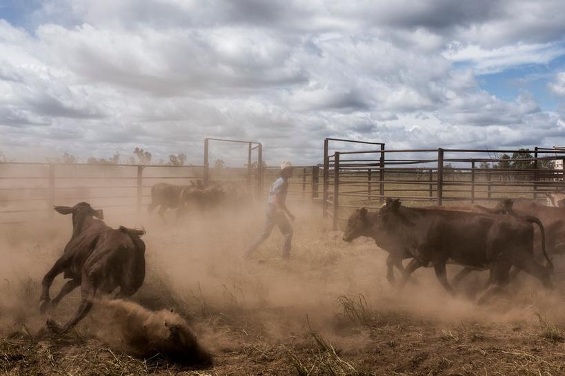 Каким мы запомним год Огненного Петуха: 2017-й в фотографиях New York Times