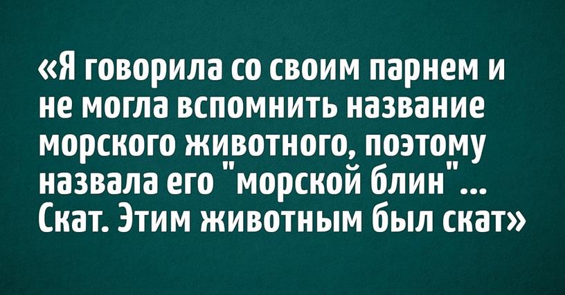 Пользователи интернета делятся весёлыми историями из серии «невероятные приключения мозга, забывшего подходящее слово»