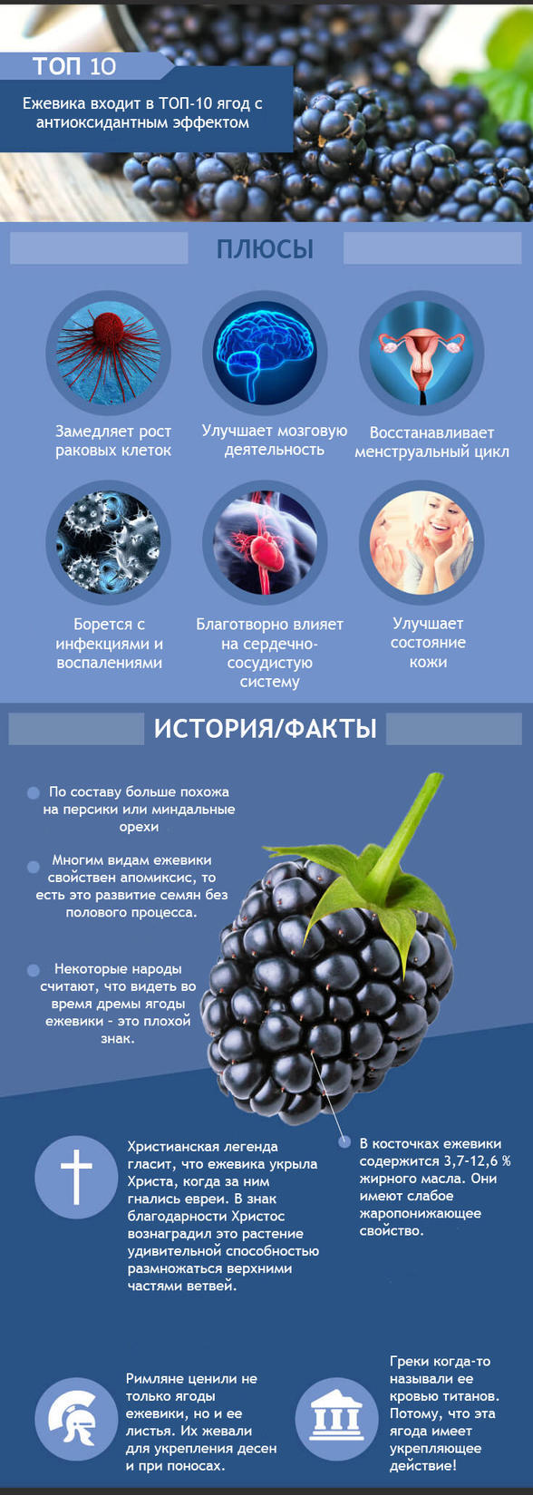 Подросток получил ″детского Нобеля″ за то, что узнал что-то важное о ежевике!