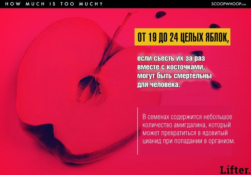 Вам будет трудно поверить, но вот список обычных вещей, которые запросто могут вас убить!