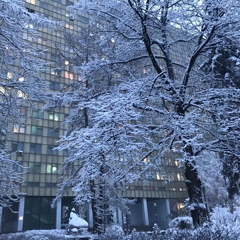 Последний январь. Москва в январе. Январь зима Москва. Снег в январе в Москве. Москва зимой в январе.