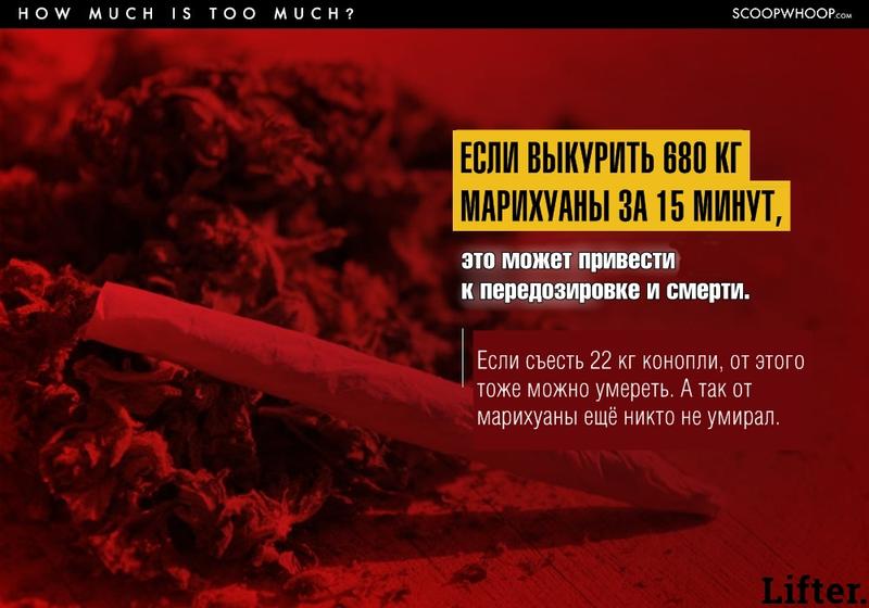 Вам будет трудно поверить, но вот список обычных вещей, которые запросто могут вас убить!