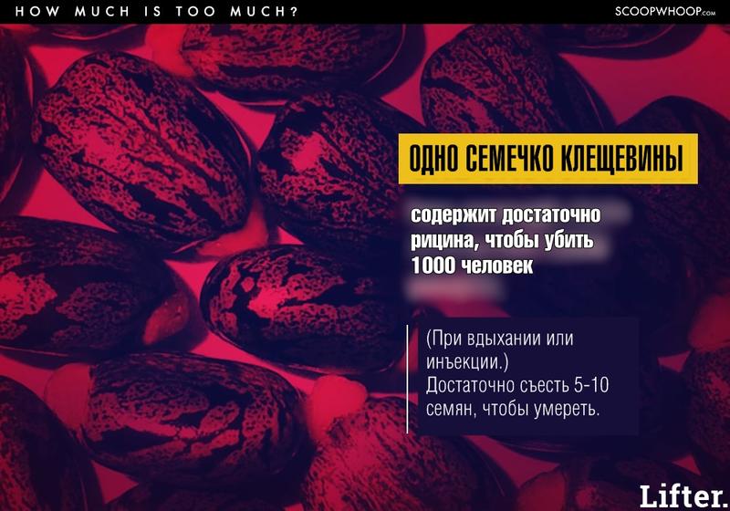 Вам будет трудно поверить, но вот список обычных вещей, которые запросто могут вас убить!