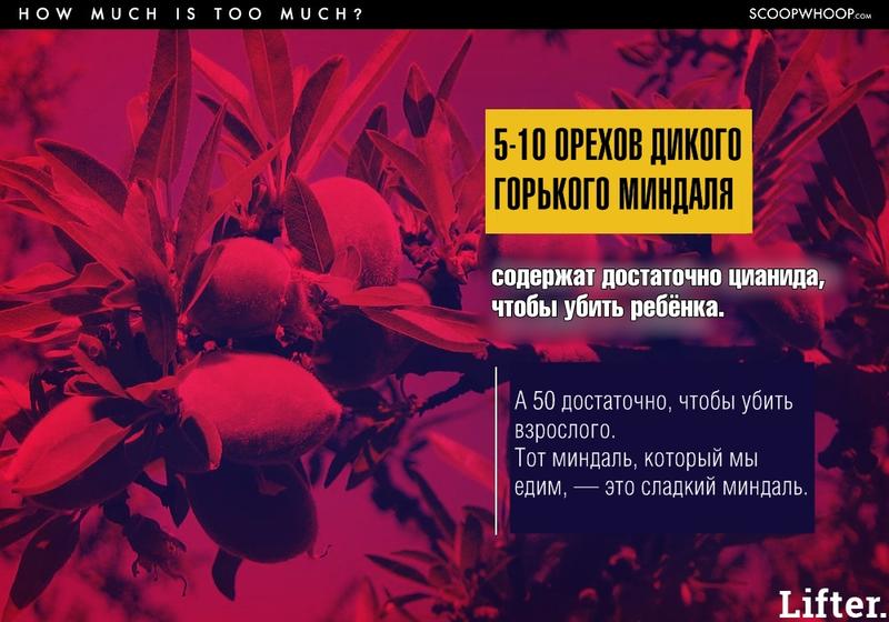 Вам будет трудно поверить, но вот список обычных вещей, которые запросто могут вас убить!