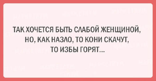 20 шуток об очаровательной женской логике