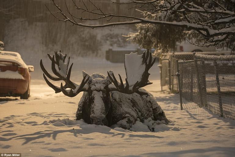 22 лучших фото дикой природы, которые действительно достойны ваших слез