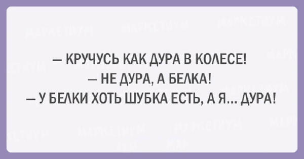 20 шуток об очаровательной женской логике