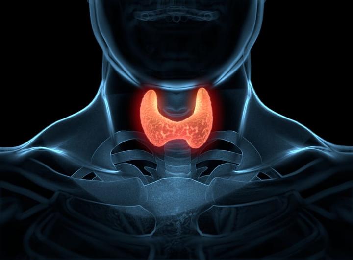 12 признаков, что ваша щитовидная железа работает не так, как надо