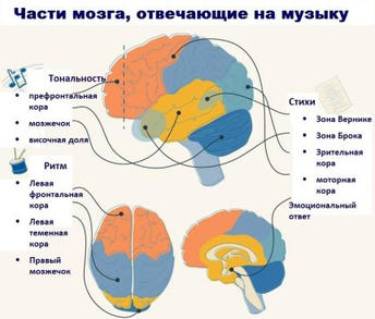 17 очень полезных практик для развития и оптимизации работы мозга