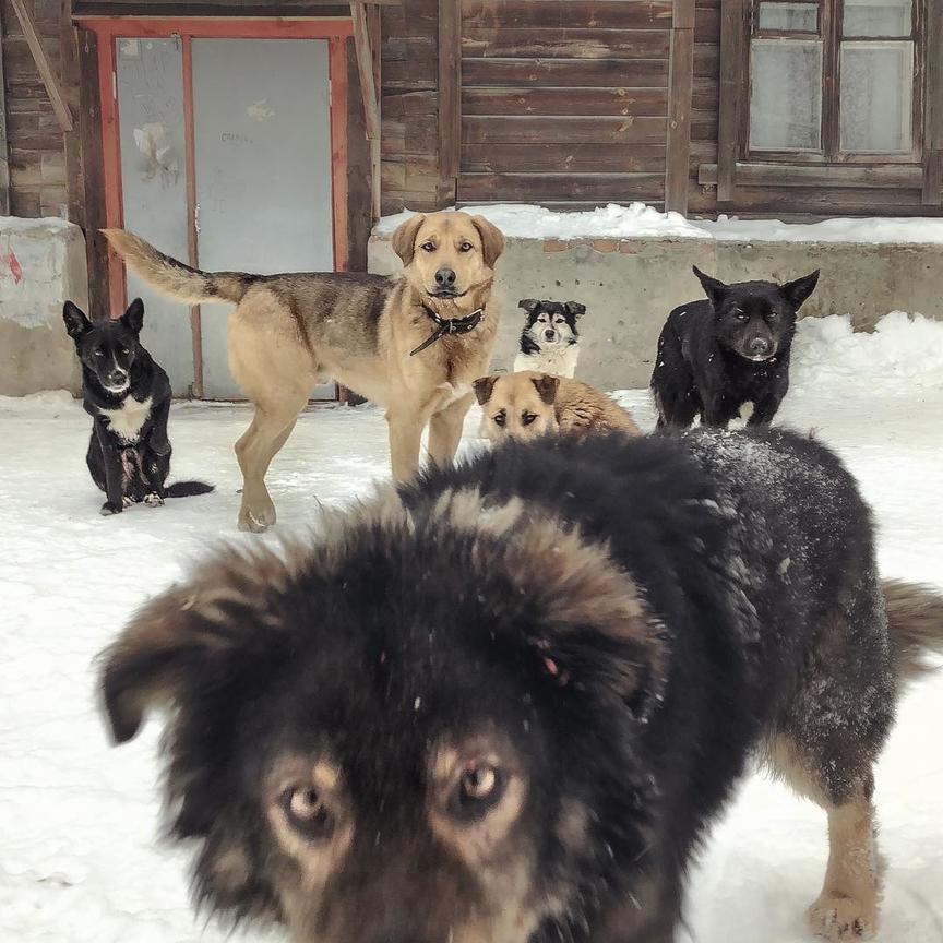 Я фотограф, и снимаю обычную жизнь на обычный iPhone. А получается волшебство!..