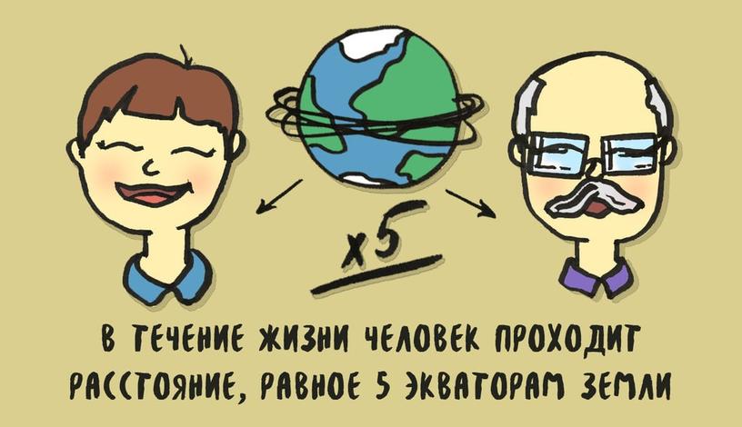 10 фактов в картинках, благодаря которым окружающий мир станет немного понятнее и интереснее