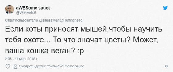 Эта очаровательная кошечка каждый день приносит своей хозяйке цветы. Правда отнюдь не из романтических побуждений