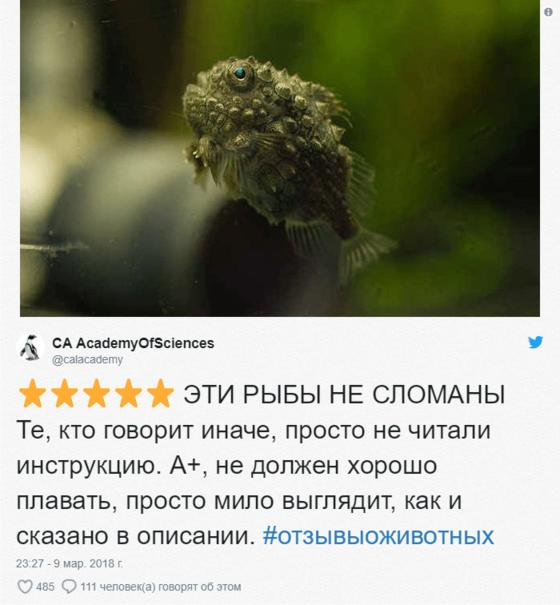 Зоопарки пишут о своих животных отзывы в стиле сайта Amazon. Получилось очень забавно, 5 из 5