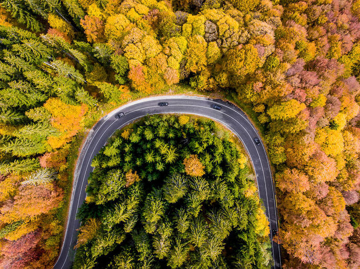 Я фоткаю дороги Трансильвании, потому что это настоящее чудо света. Да, это Трансильвания!