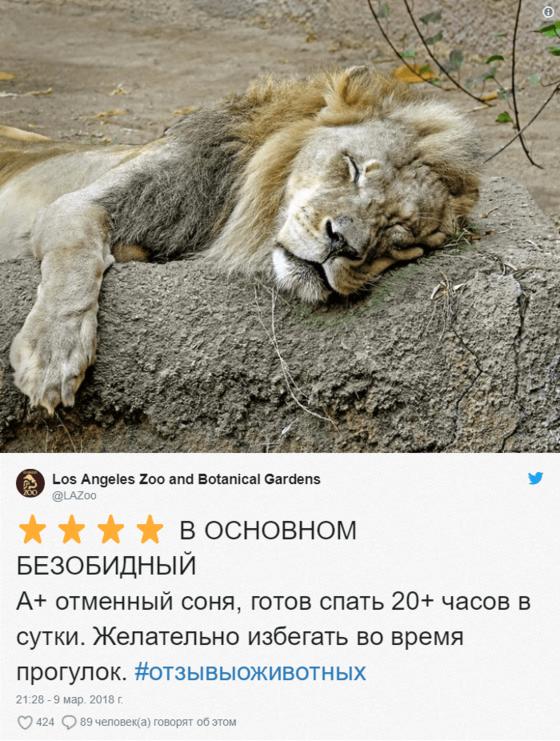 Зоопарки пишут о своих животных отзывы в стиле сайта Amazon. Получилось очень забавно, 5 из 5