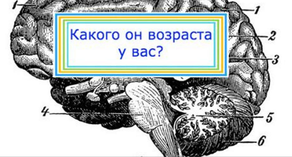 Какому возрасту соответствует ваш способ мышления?